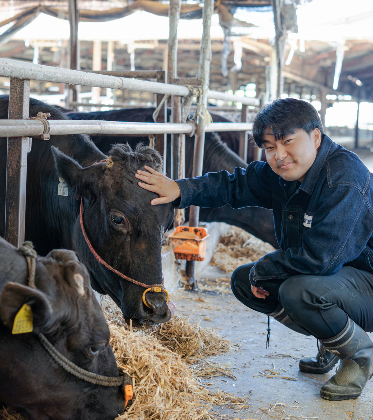 Farm to Table — Nipponbashi